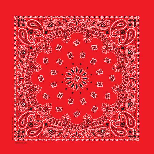 Red 17" x 17" Farmer Paisley Print Bandana