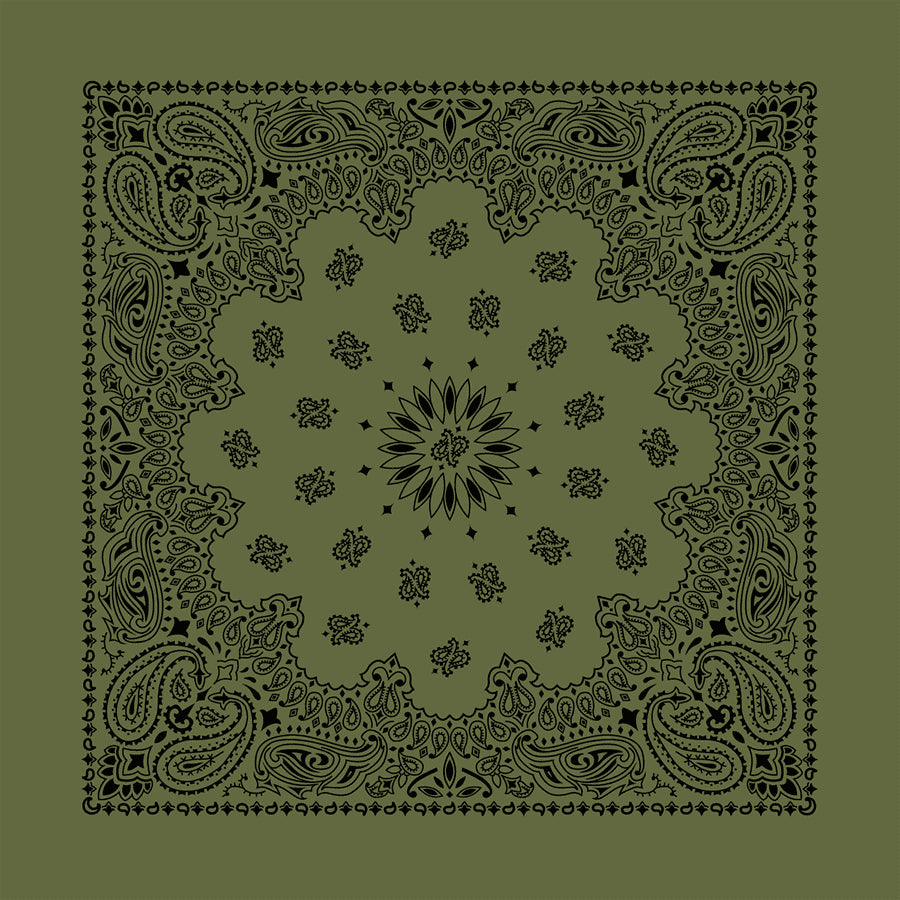 Olive 22" x 22" Contemporary Paisley Print Bandana