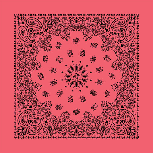 Strawberry 22" x 22" Contemporary Paisley Print Bandana
