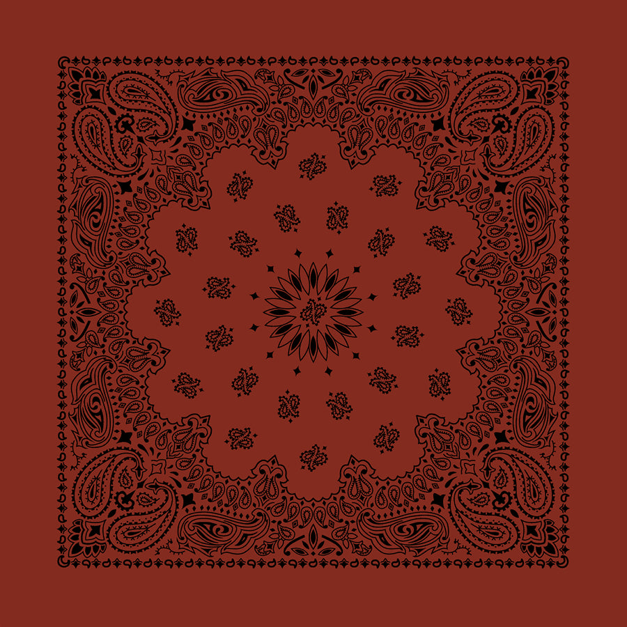 Terracotta 22" x 22" Contemporary Paisley Print Bandana