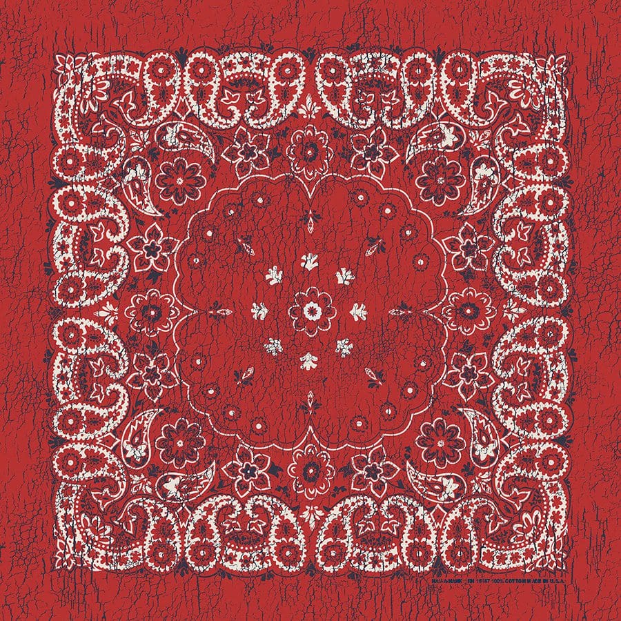 Red/Indigo 27" x 27" Rustic Paisley Print Bandana