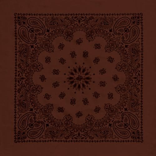 Cocoa/Black 27" x 27" Austin Paisley Print Bandana