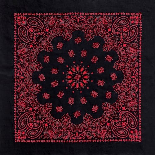 Black/Red 27" x 27" Austin Paisley Print Bandana