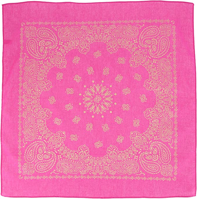 Hot Pink/Gold 22" x 22" Metallic Paisley Print Bandana