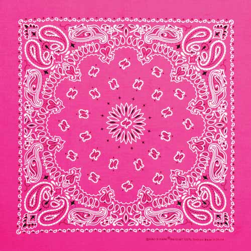 Neon Pink 22" x 22" Paisley Print Bandana