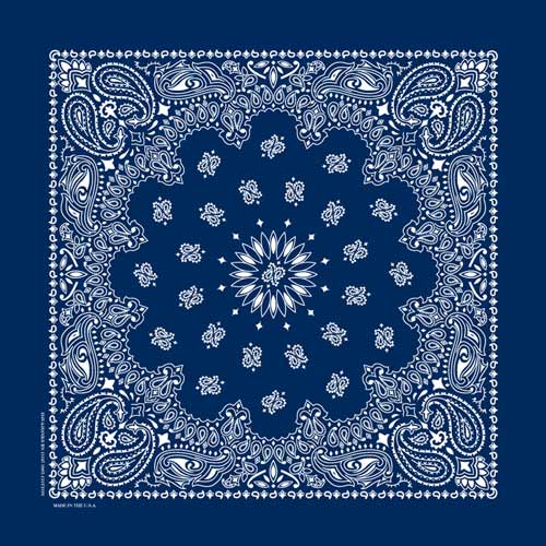 Navy Blue 22" x 22" Paisley Print Bandana