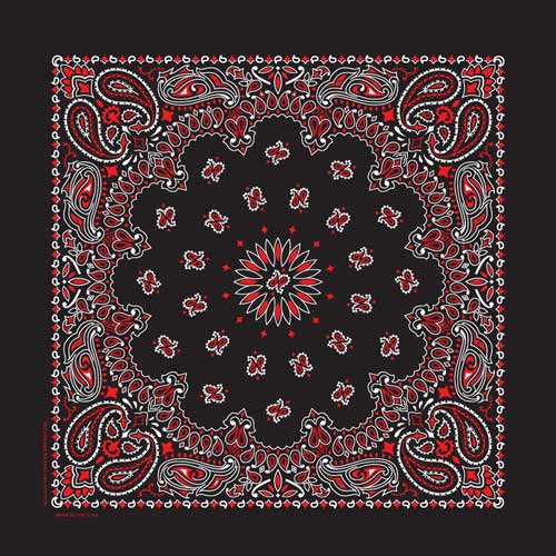 Black/Red 22" x 22" Paisley Print Bandana