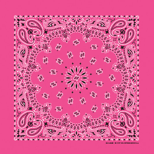 Fuchsia 22" x 22" Paisley Print Bandana
