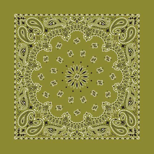 Olive 22" x 22" Paisley Print Bandana