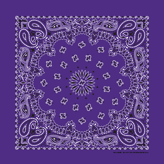 Purple 22" x 22" Paisley Print Bandana