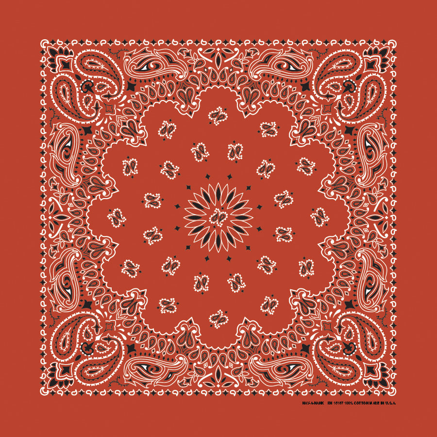 Terracotta 22" x 22" Paisley Print Bandana