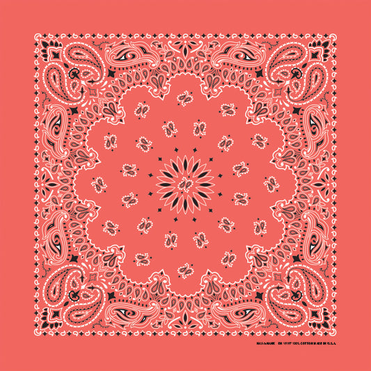 Honeysuckle 22" x 22" Paisley Print Bandana