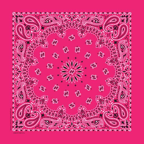 Hot Pink 22" x 22" Paisley Print Bandana