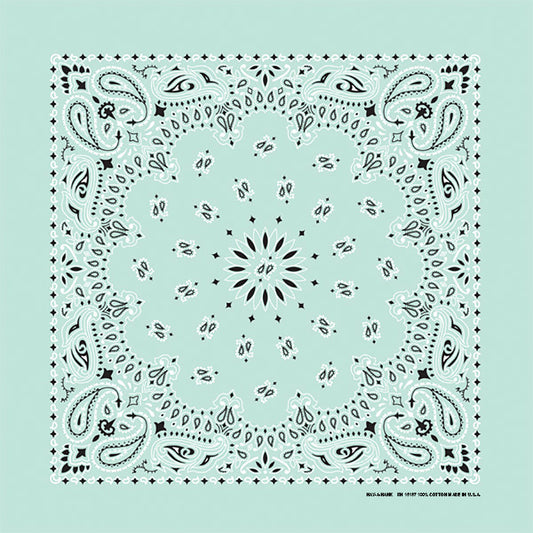 Mint 22" x 22" Paisley Print Bandana