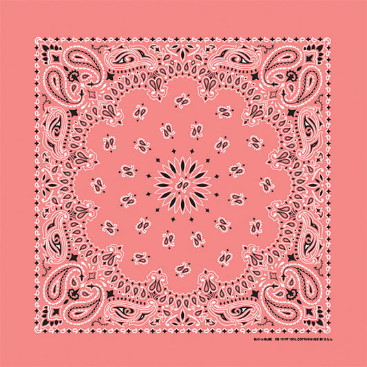 Strawberry 22" x 22" Paisley Print Bandana