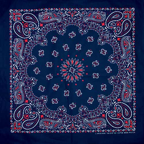 Blue/Red 22" x 22" Paisley Print Bandana