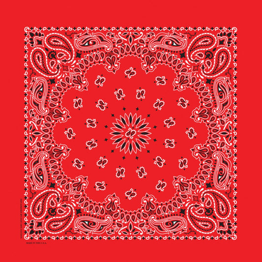 Red 35" x 35" X-Large Paisley Print Bandana