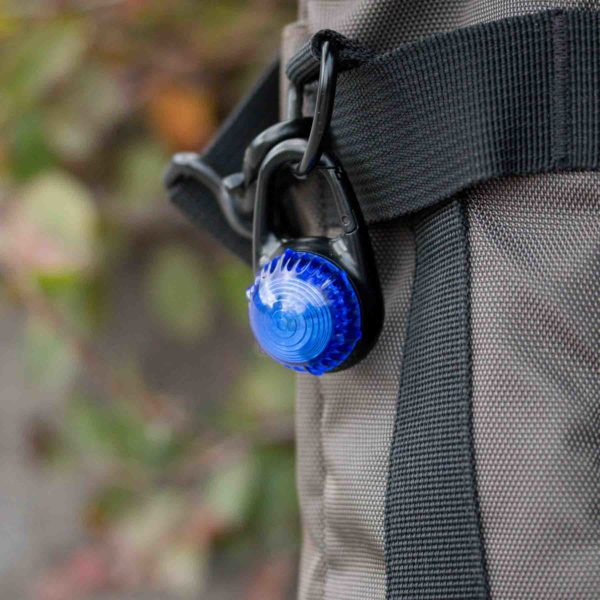 Guardian Tag-It LED Clip On Light (Blue) Carabiner Waterproof