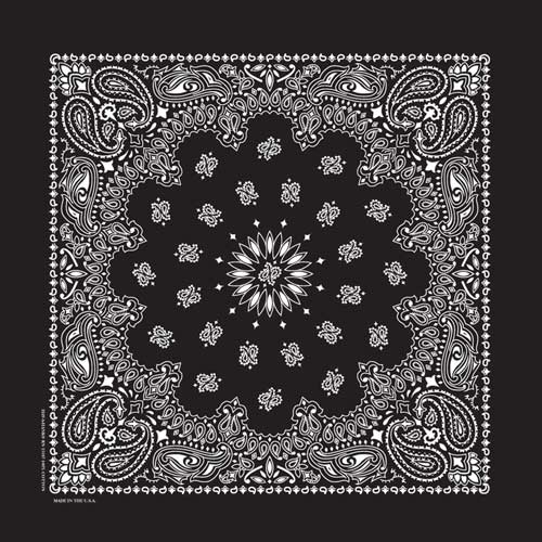 Black 17" x 17" Farmer Paisley Print Bandana