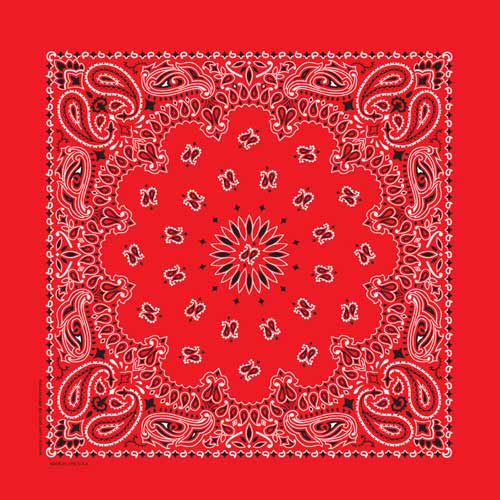 Red 17" x 17" Farmer Paisley Print Bandana