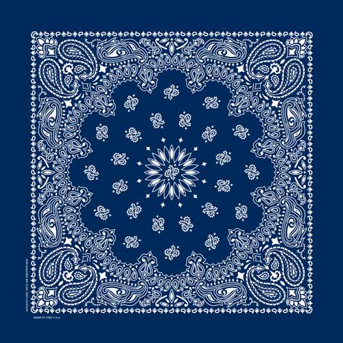 Navy Blue 17" x 17" Farmer Paisley Print Bandana