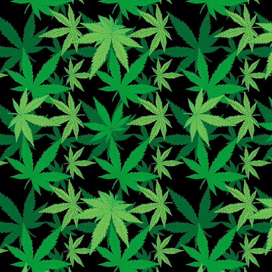 Cannibas 22" x 22" Novelty Print Bandana