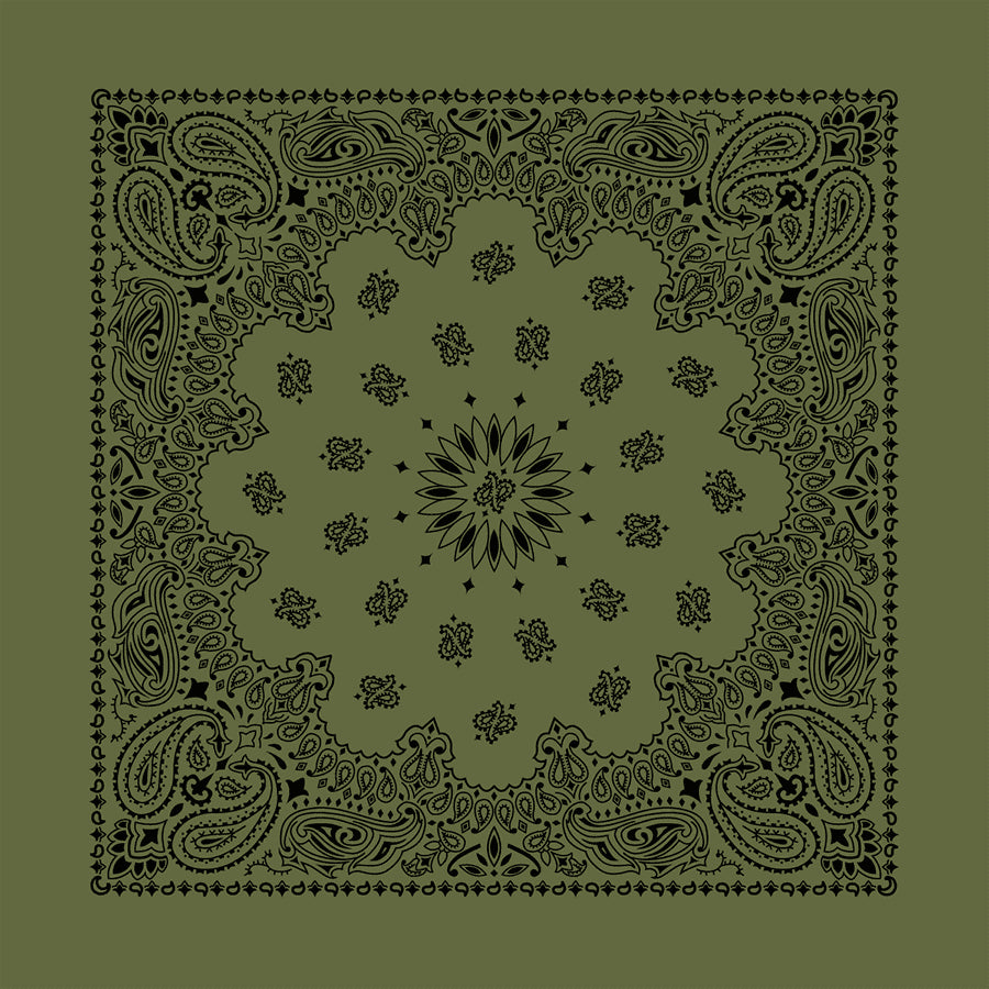 Olive 22" x 22" Contemporary Paisley Print Bandana