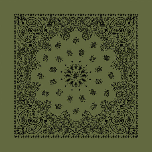 Olive 22" x 22" Contemporary Paisley Print Bandana