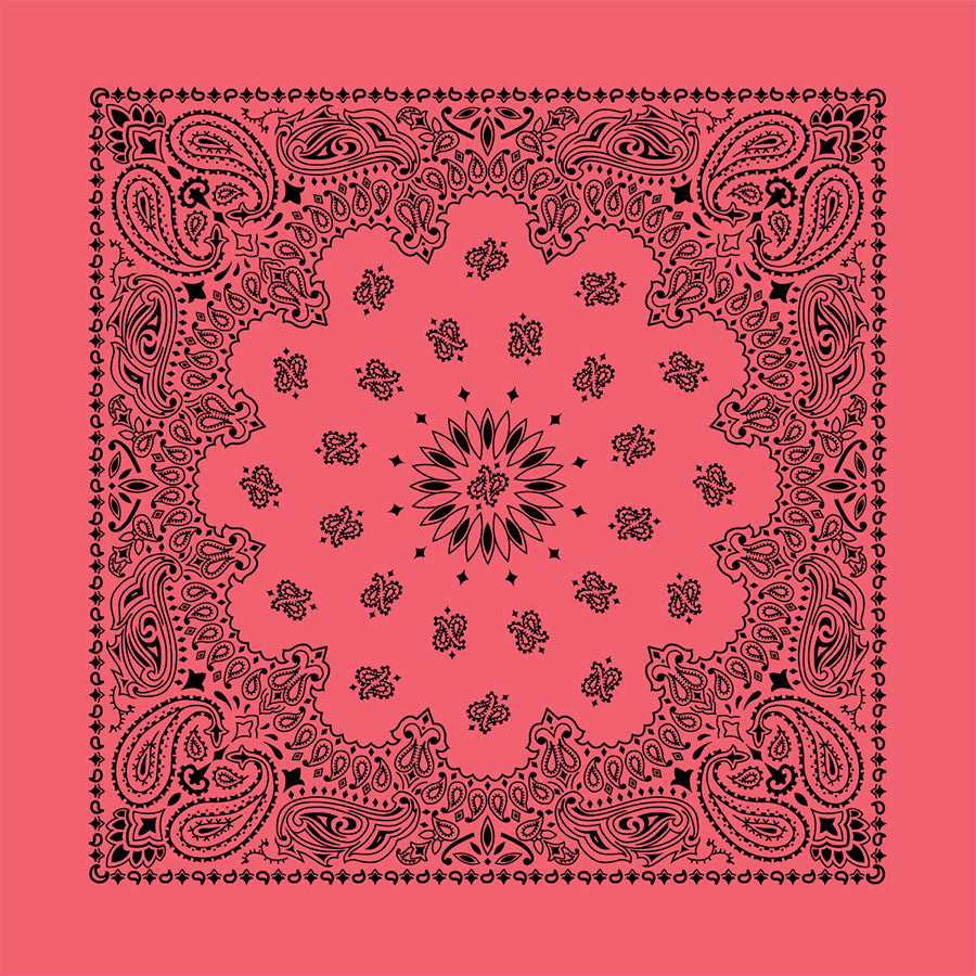 Strawberry 22" x 22" Contemporary Paisley Print Bandana