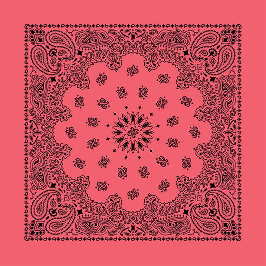 Strawberry 22" x 22" Contemporary Paisley Print Bandana