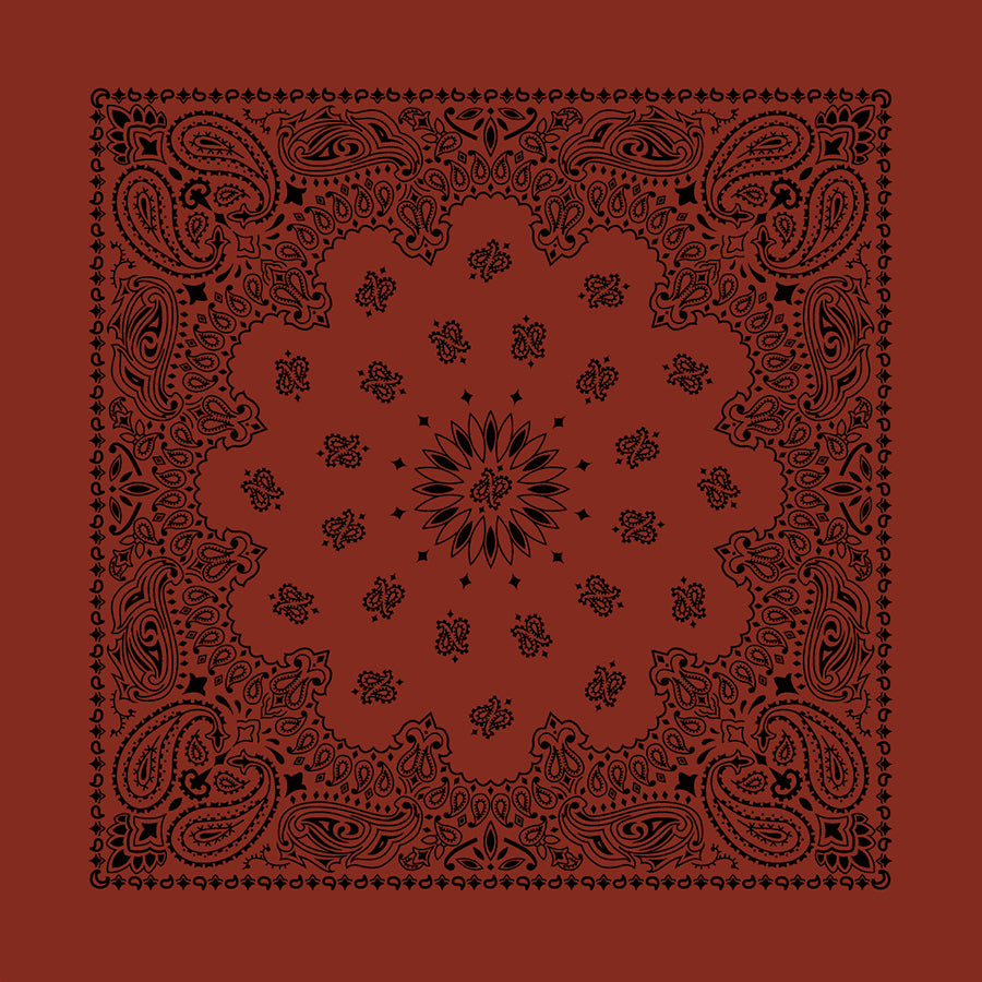 Terracotta 22" x 22" Contemporary Paisley Print Bandana