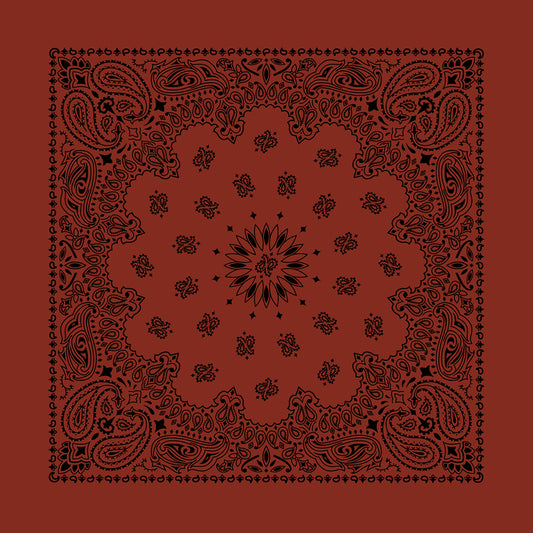 Terracotta 22" x 22" Contemporary Paisley Print Bandana