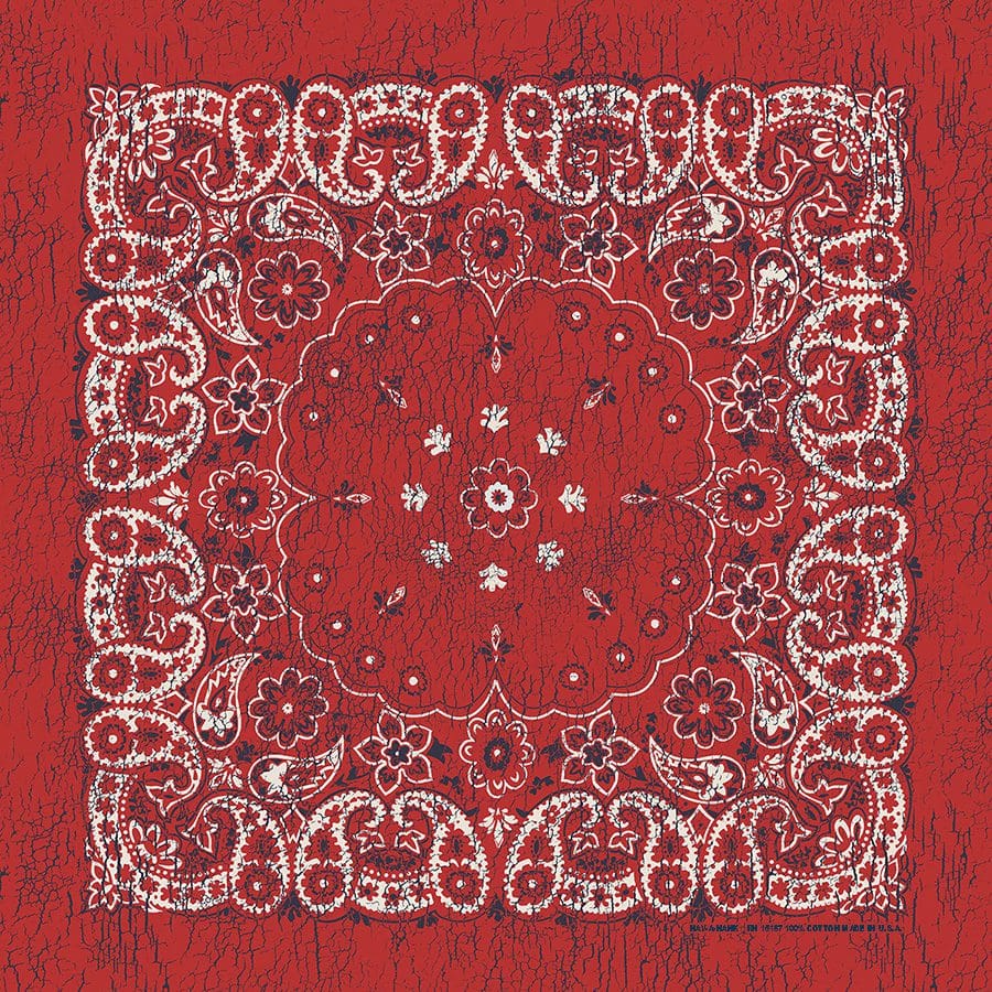 Red/Indigo 27" x 27" Rustic Paisley Print Bandana