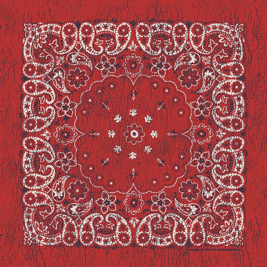 Red/Indigo 27" x 27" Rustic Paisley Print Bandana