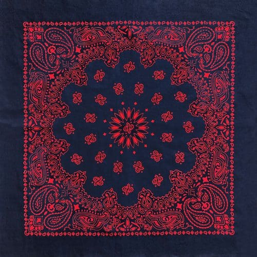 Navy/Red 27" x 27" Austin Paisley Print Bandana