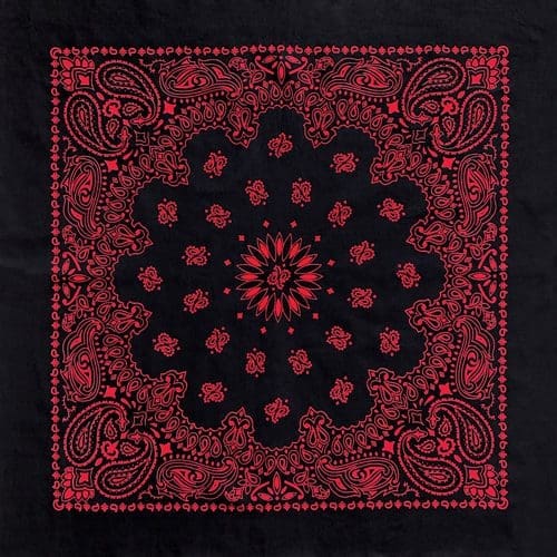 Black/Red 27" x 27" Austin Paisley Print Bandana