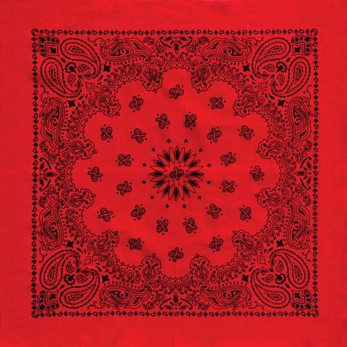 Red/Black 27" x 27" Austin Paisley Print Bandana