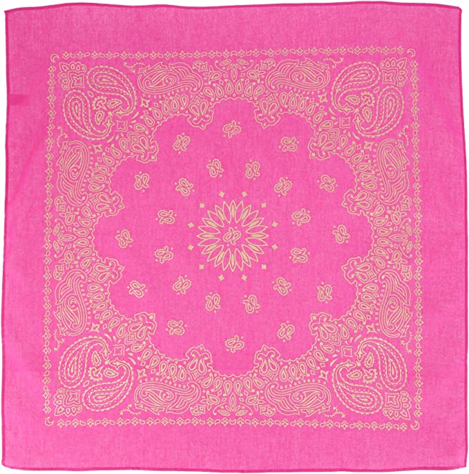 Hot Pink/Gold 22" x 22" Metallic Paisley Print Bandana