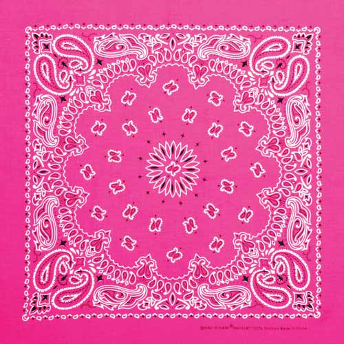 Neon Pink 22" x 22" Paisley Print Bandana