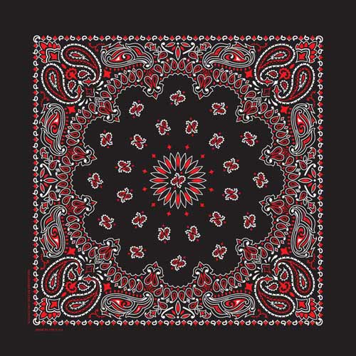 Black/Red 22" x 22" Paisley Print Bandana