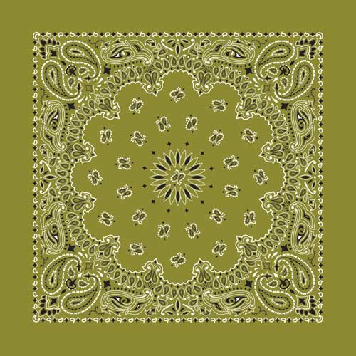 Olive 22" x 22" Paisley Print Bandana