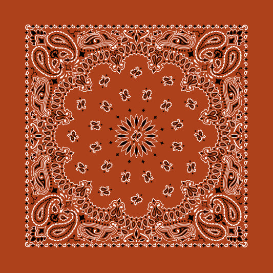 Burnt Orange 22" x 22" Paisley Print Bandana