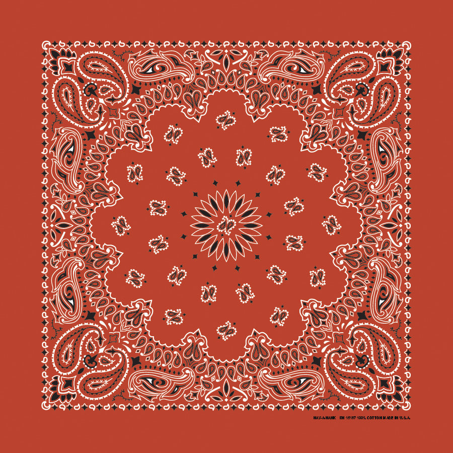 Terracotta 22" x 22" Paisley Print Bandana