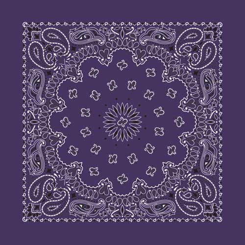 Plum 22" x 22" Paisley Print Bandana