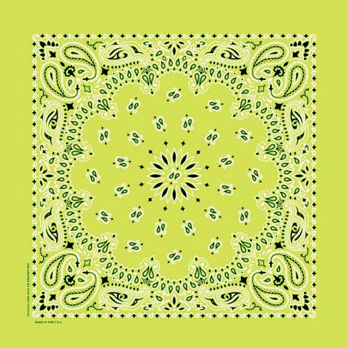 Lime 22" x 22" Paisley Print Bandana