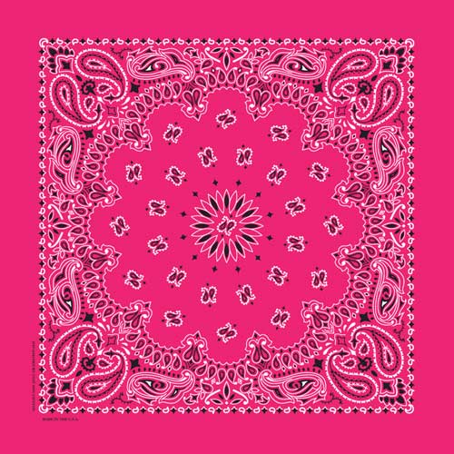 Hot Pink 22" x 22" Paisley Print Bandana