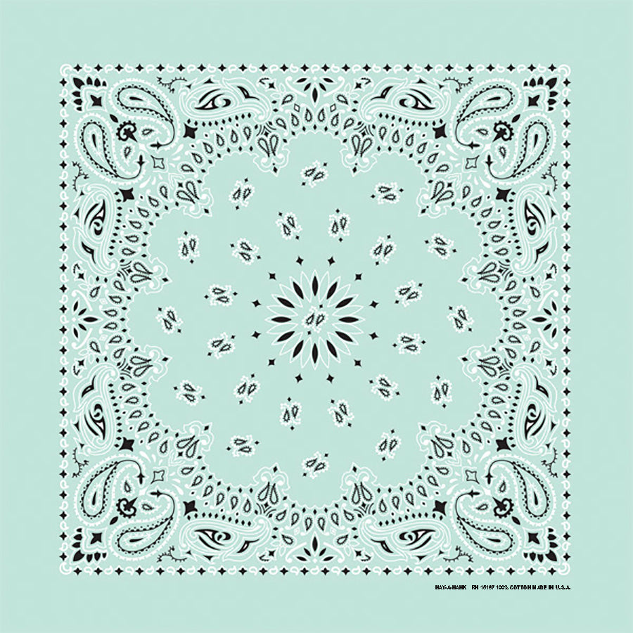 Mint 22" x 22" Paisley Print Bandana