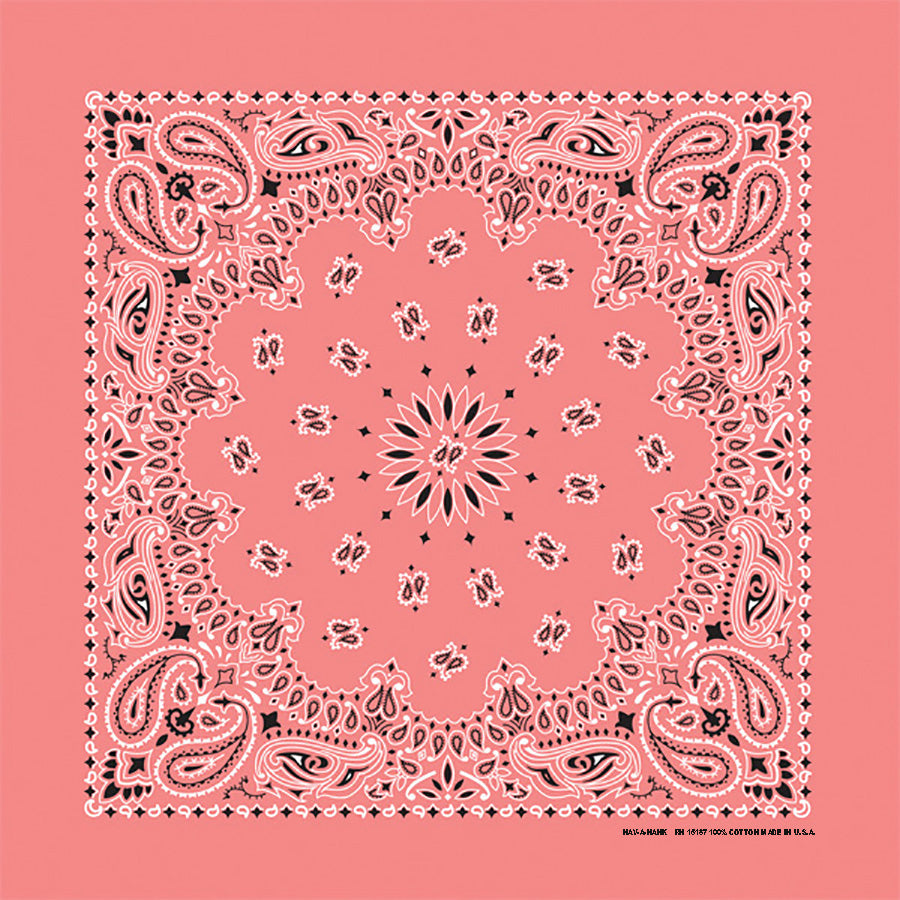 Strawberry 22" x 22" Paisley Print Bandana