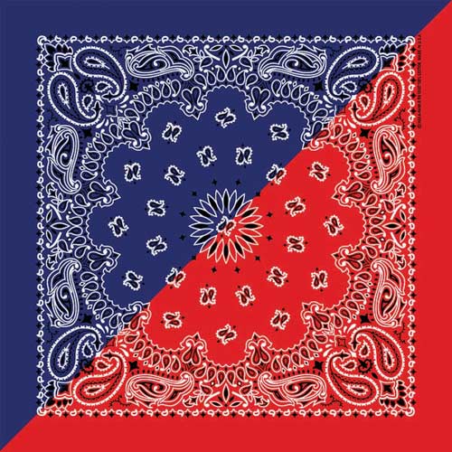 Navy/Red 22" x 22" Split Paisley Print Bandana