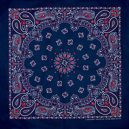 Blue/Red 22" x 22" Paisley Print Bandana